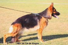 Indy du val de siagne