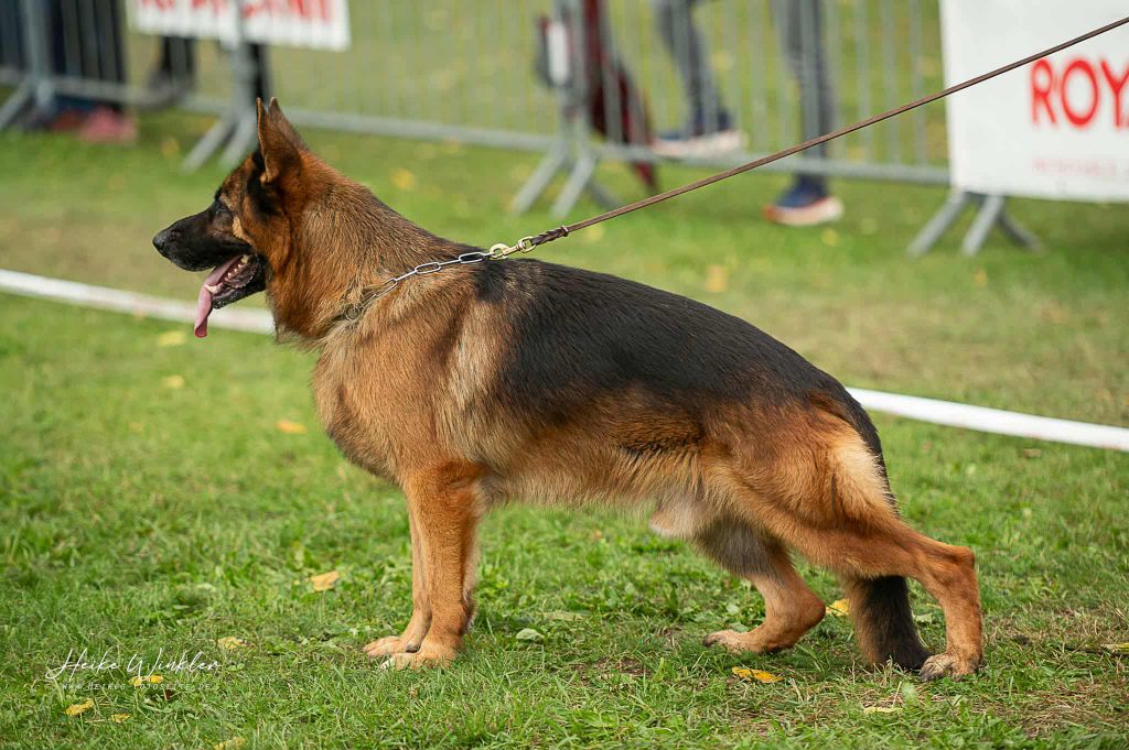 Silver  du val de siagne