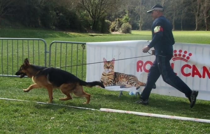 Lex du Val de Siagne