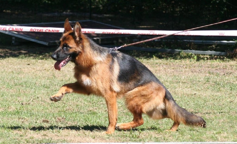 Léna du Val de Siagne